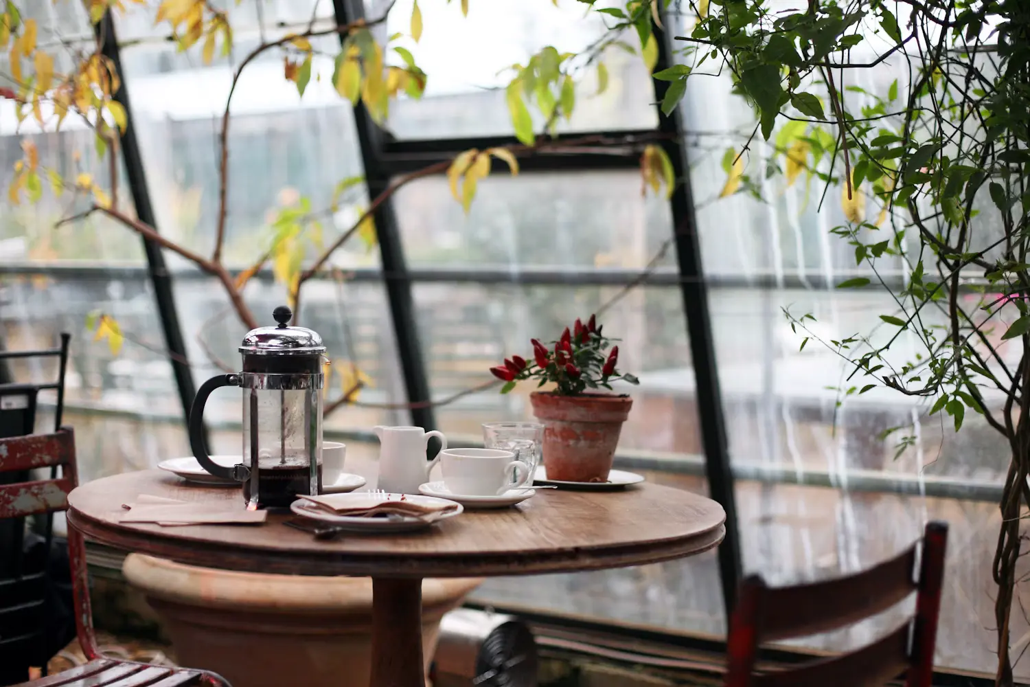 Independent cafe website design concept